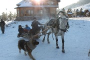 IMG_0235.JPG