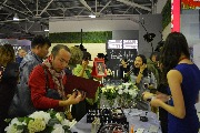 DSC_0095.JPG